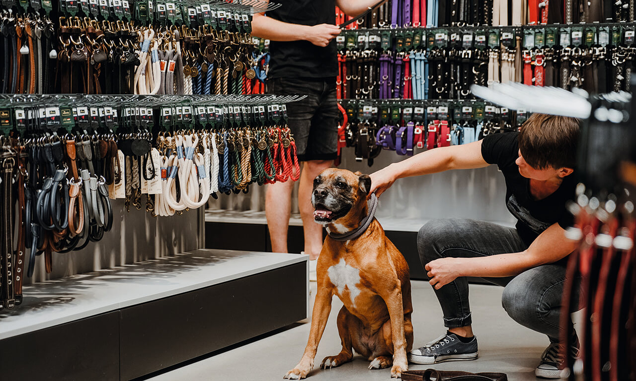 Hunde-Halsbänder im HUNTER Shop Bielefeld
